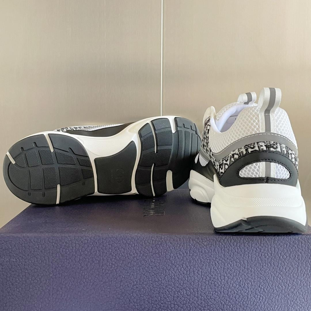 Dior B22