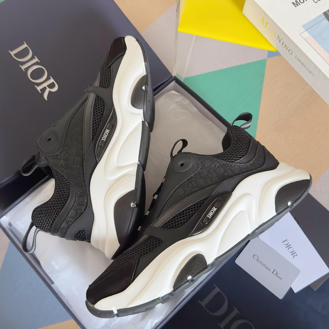 Dior B22