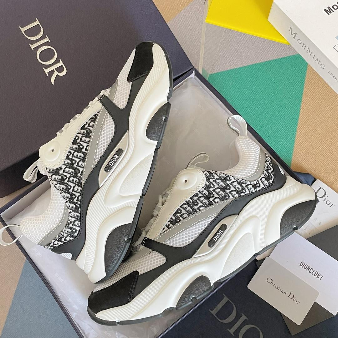 Dior B22