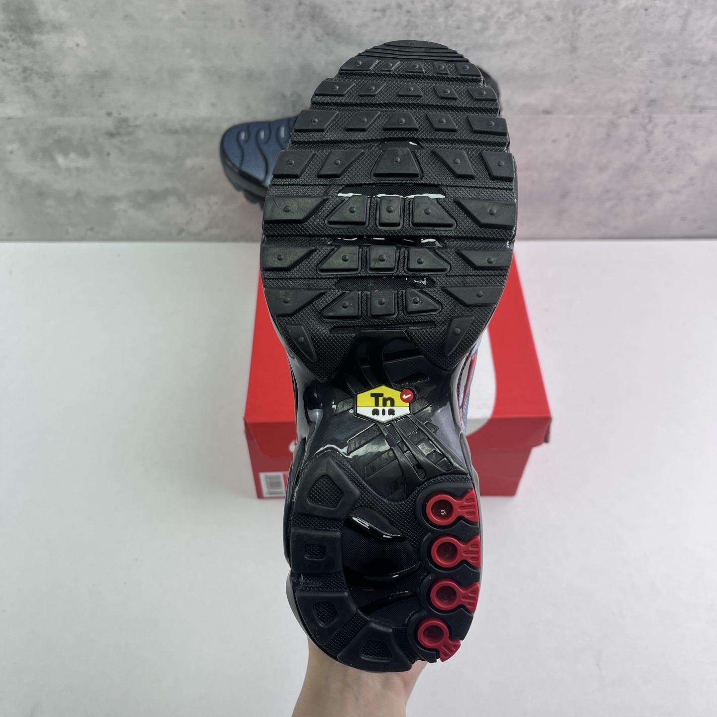 Nike Air Max Plus Tn