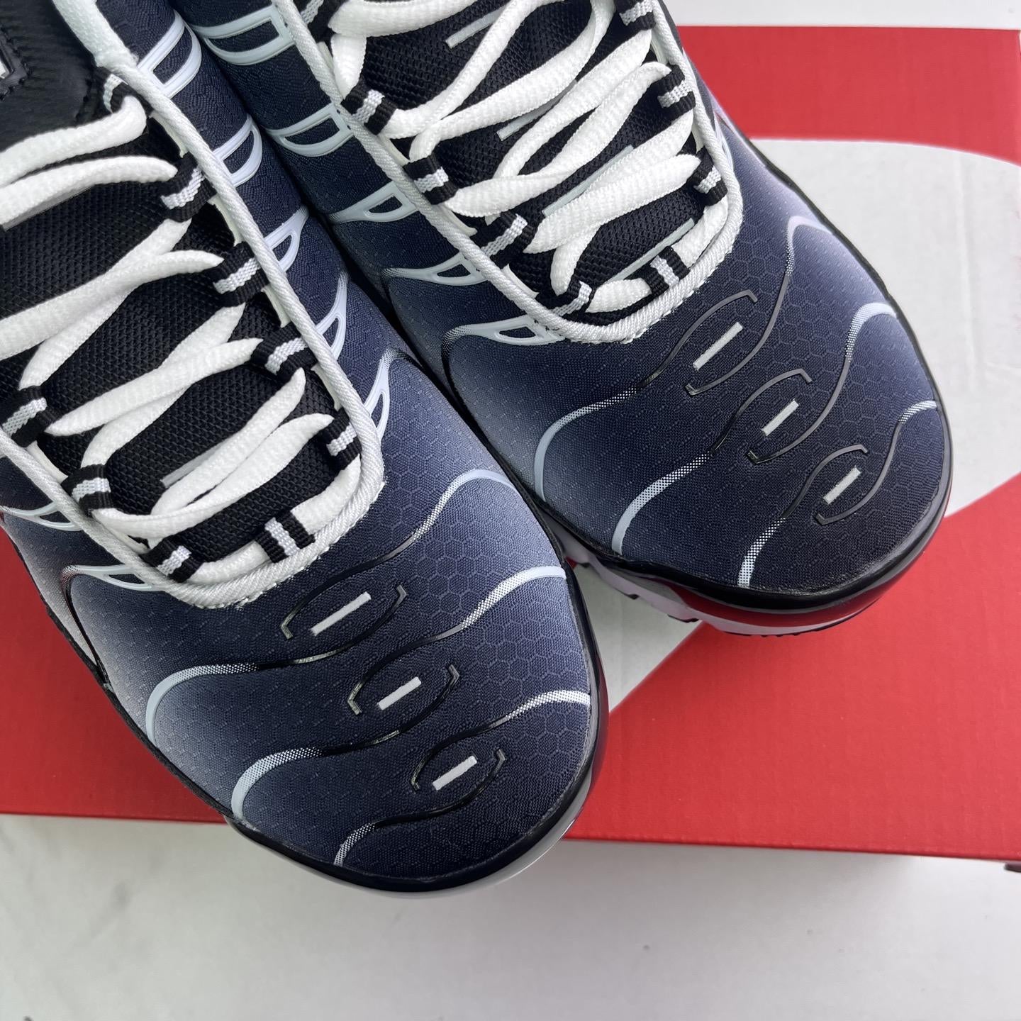 Nike Air Max Plus Tn