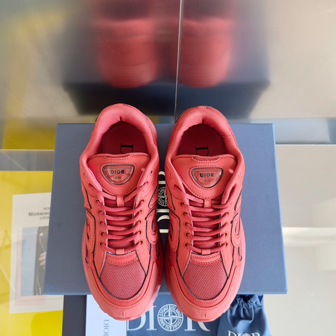 Dior x Stone Island B30