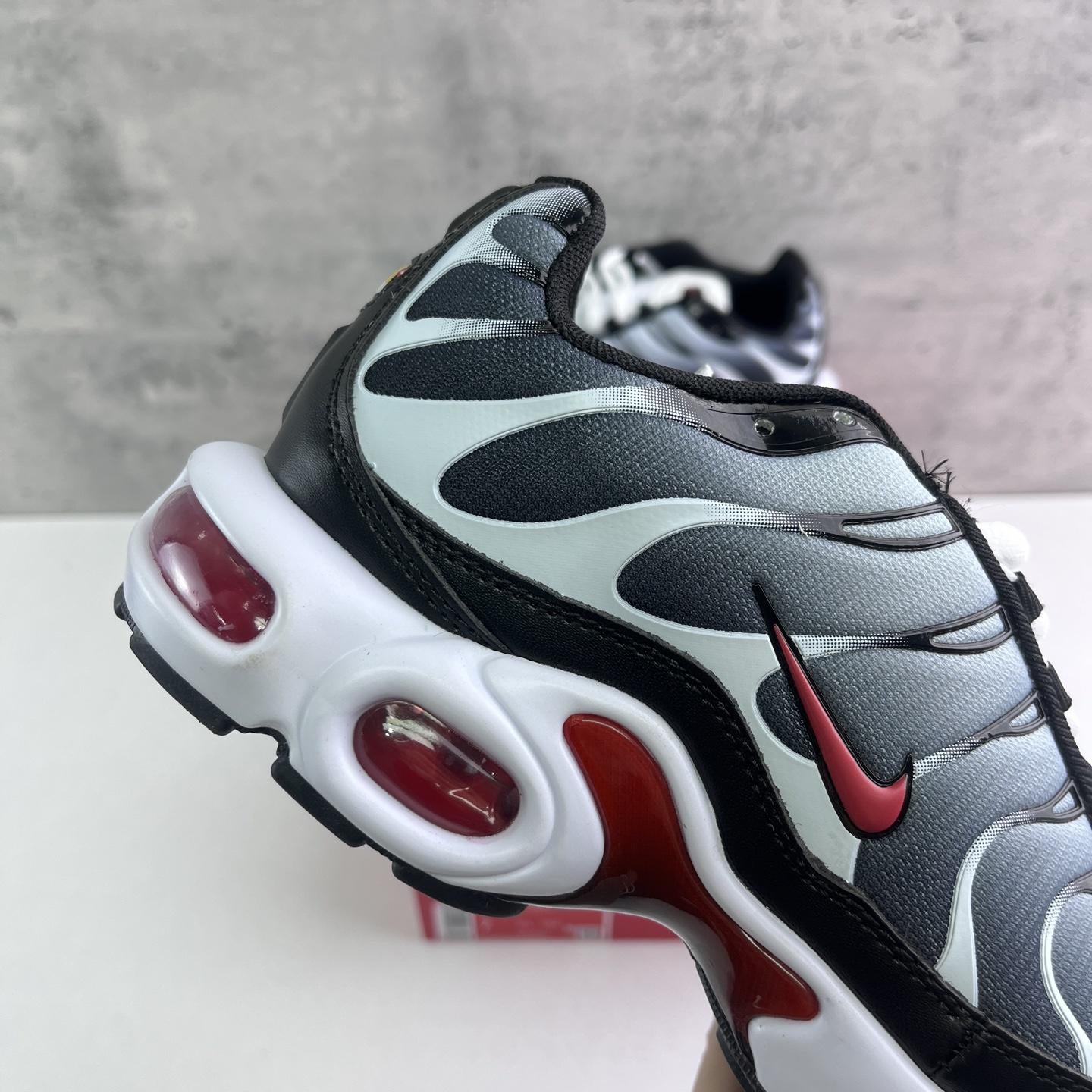 Nike Air Max Plus Tn