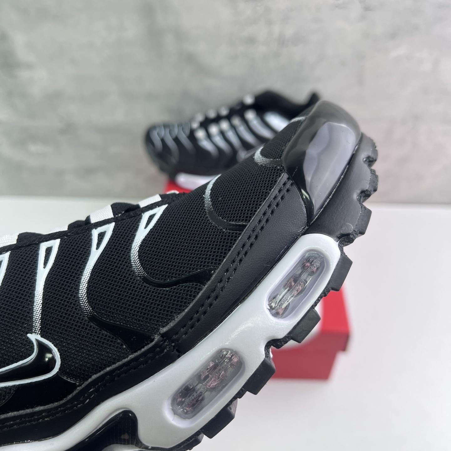 Nike Air Max Plus Tn