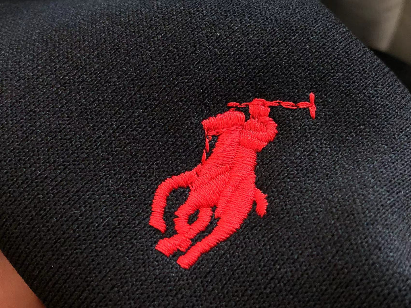 Ralph Lauren Zip Hhoodie