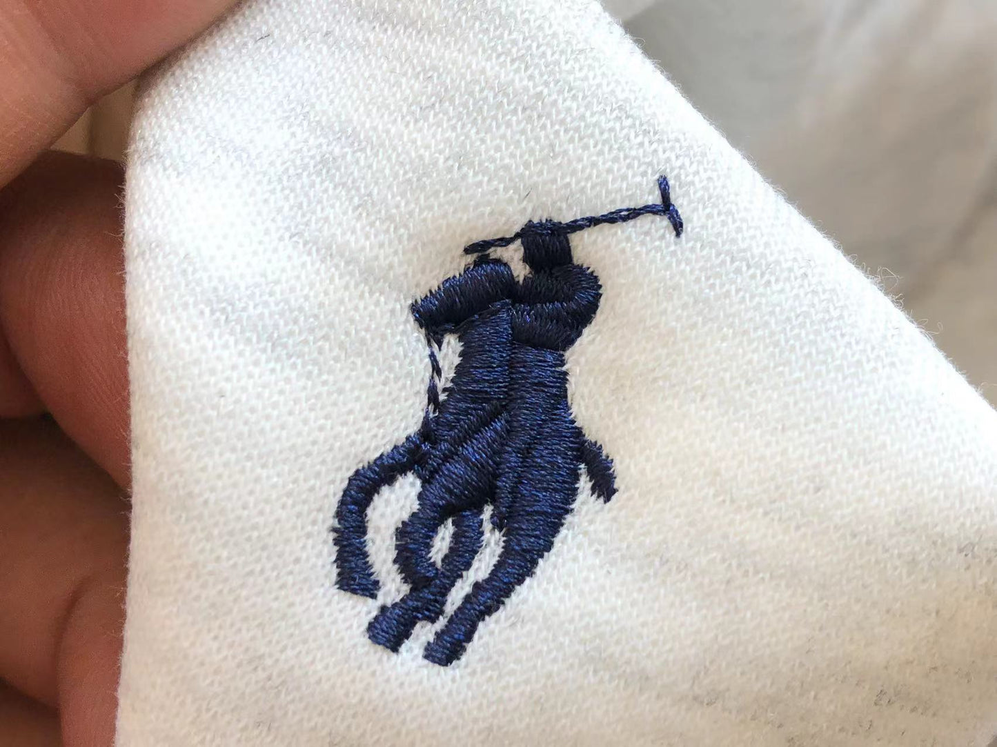 Ralph Lauren Zip Hhoodie