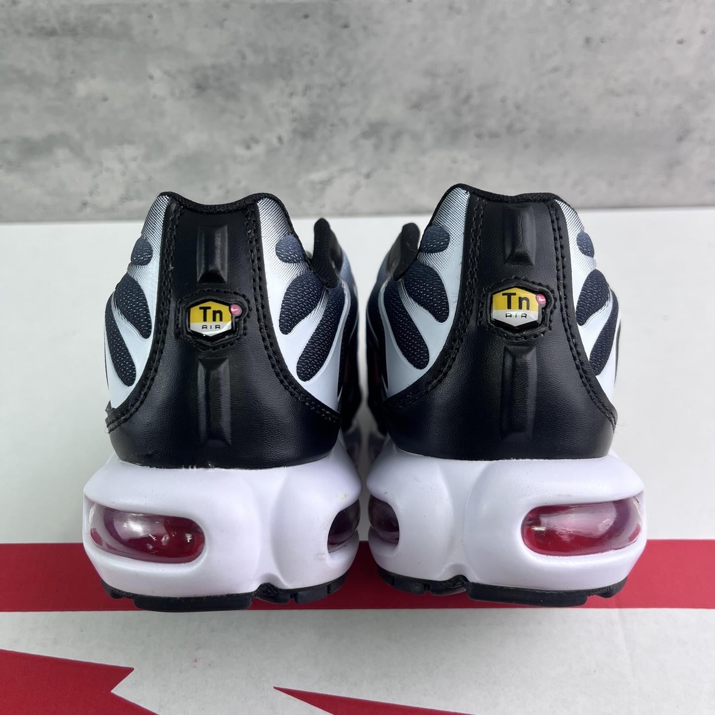 Nike Air Max Plus Tn