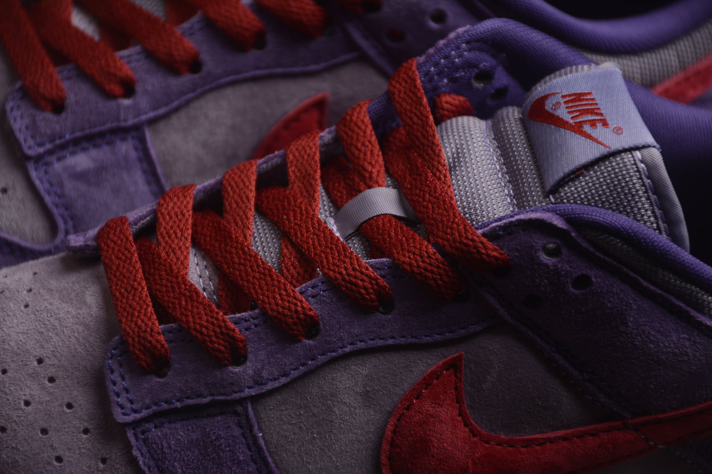 Nike Dunk Low Retro Vol. 1 SP Plum